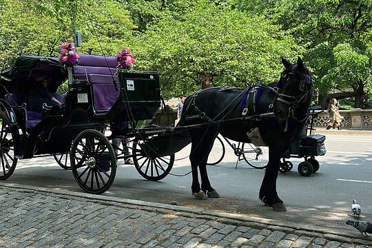 Tour image 1